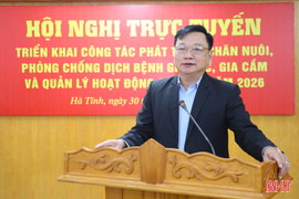 Hà Tĩnh thu hút doanh nghiệp quy mô lớn, công nghệ cao đầu tư vào chăn nuôi