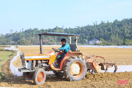 Nông dân Hà Tĩnh “chạy đua” sản xuất trên những cánh đồng vụ đông