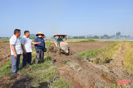 Chủ động sản xuất hè thu, né thời tiết bất lợi vào cuối vụ
