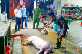 Hà Tĩnh phát hiện 2 trường hợp giết mổ gia súc trái phép tại nhà 