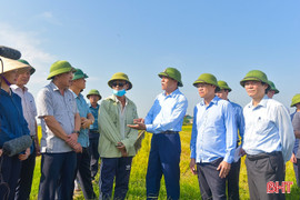 Dấu ấn nhiệm kỳ: Tập trung, tích tụ ruộng đất, kiến tạo nền nông nghiệp hiện đại