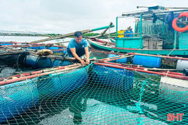 Người nuôi trồng thủy sản Hà Tĩnh thu hoạch sớm, gia cố ao, lồng ứng phó mưa bão