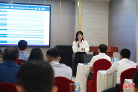 Thúc đẩy sản xuất hữu cơ trong lĩnh vực trồng trọt tại Hà Tĩnh