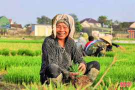 Rộn ràng vụ mới...