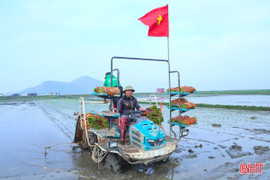 Rộn ràng vụ mới...