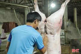 Thị trường giảm sâu, các lò giết mổ gia súc Hà Tĩnh “lao đao”