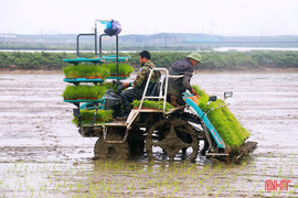 Hà Tĩnh hướng đến nền nông nghiệp xanh từ sản xuất giảm phát thải