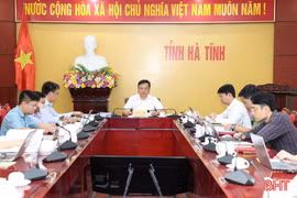 Quyết liệt thực hiện cấp, quản lý mã số vùng trồng, nâng chất lượng nông sản xuất khẩu
