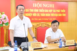 Tập trung đẩy mạnh phát triển nông nghiệp sinh thái, hữu cơ trên địa bàn tỉnh