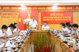 Tập trung đẩy mạnh phát triển nông nghiệp sinh thái, hữu cơ trên địa bàn tỉnh