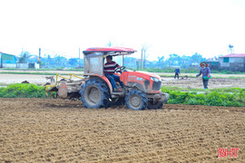 Hối hả khép kín diện tích cây trồng chủ lực vụ xuân