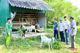 Huyện Đức Thọ đạt nhiều kết quả trên hành trình giảm nghèo bền vững