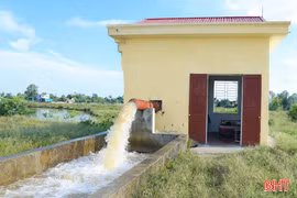 Nắng nóng gay gắt, chủ động điều tiết nước cho lúa Xuân trổ bông