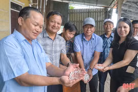 Cận cảnh thu hoạch ngọc trai quy mô lớn nhất ở Hà Tĩnh