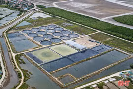 Đầu tư hạ tầng, kiểm soát dịch bệnh - "chìa khóa" cho vụ tôm thắng lợi