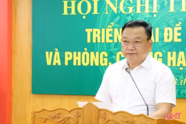 Triển khai sản xuất vụ hè thu đảm bảo an toàn, hiệu quả