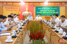 Triển khai sản xuất vụ hè thu đảm bảo an toàn, hiệu quả