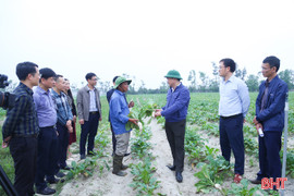 Phó Chủ tịch UBND tỉnh Hồ Huy Thành kiểm tra sản xuất nông nghiệp tại các địa phương
