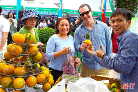 Cam chất lượng cao Hà Tĩnh “đắt khách” từ đầu vụ