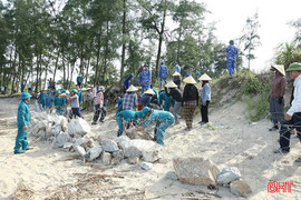 Hà Tĩnh đề xuất Trung ương hỗ trợ đầu tư 7 công trình phòng, chống thiên tai