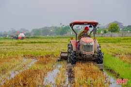 Vụ hè thu 2025: Ưu tiên giống ngắn ngày, hạn chế rủi ro do thiên tai