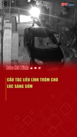 Cẩu tặc liều lĩnh trộm chó lúc sáng sớm 