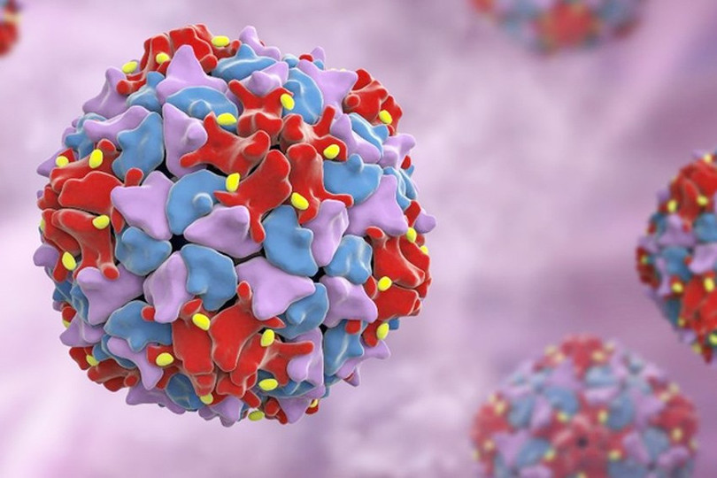 ویروس فلج اطفال عوارض خطرناک زیادی را برای افراد آلوده ایجاد میکند. (تصویر از اینترنت) virus-bai-liet-va-nhung-thong-tin-can-biet-ve-benh-sot-bai-liet-70ef3172f2.jpg