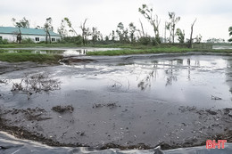 Trại lợn gây ô nhiễm kéo dài, người dân bức xúc