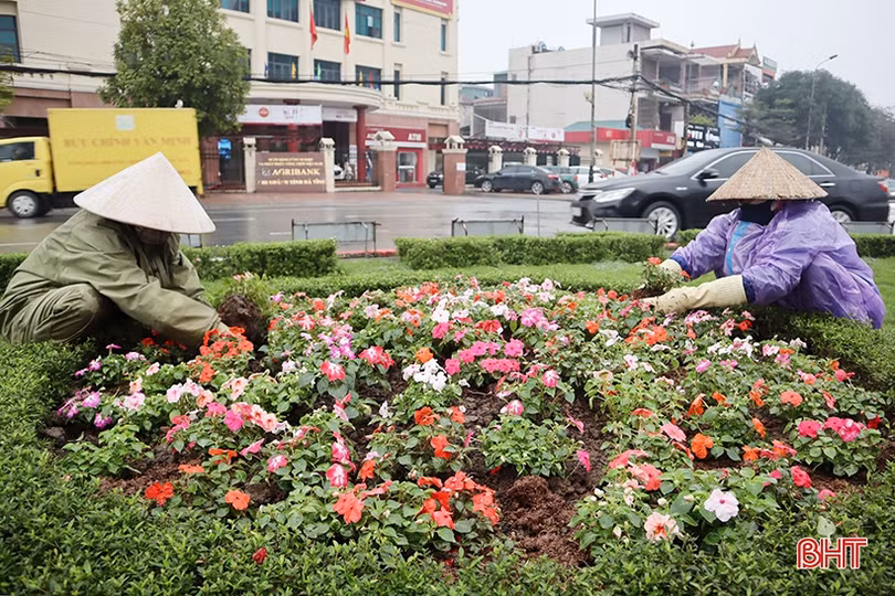 Tô sắc xuân cho phố phường Hà Tĩnh