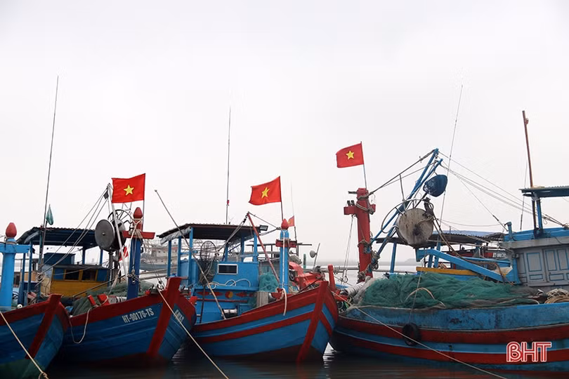 Ngư dân phía Nam Hà Tĩnh tất bật ra khơi săn “lộc biển” dịp cận tết