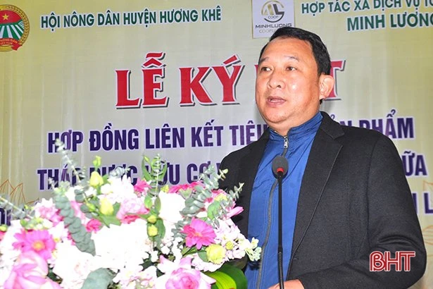 Liên kết tiêu thụ sản phẩm thảo dược hữu cơ và chăn nuôi dê ở Hương Khê