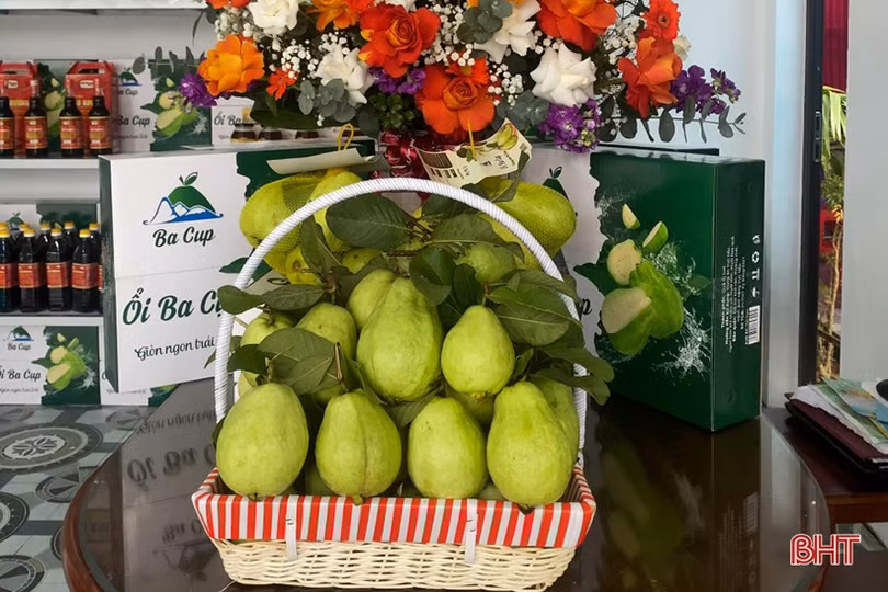 Nông sản huyện Kỳ Anh “háo hức” tham gia Hội chợ OCOP và đặc sản Hà Tĩnh