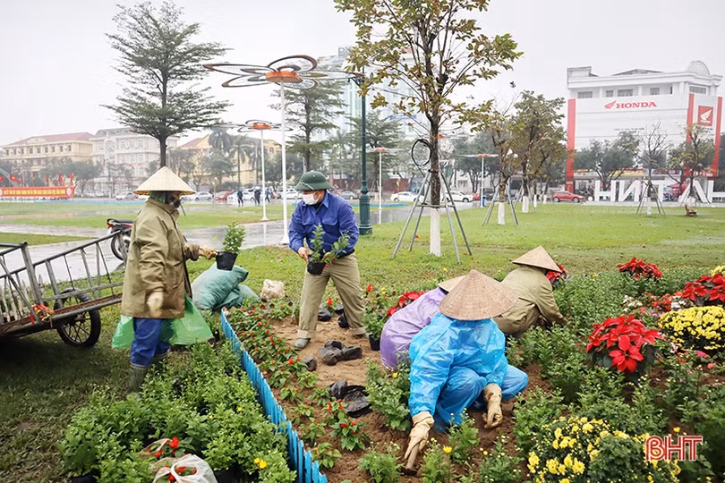 Tô sắc xuân cho phố phường Hà Tĩnh