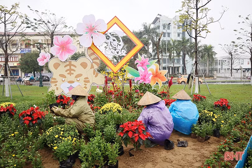 Tô sắc xuân cho phố phường Hà Tĩnh