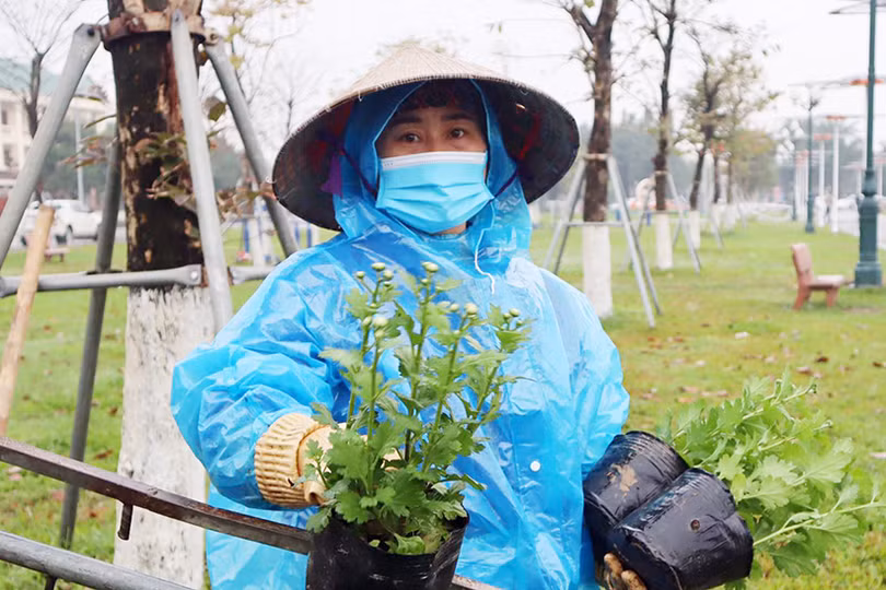 Tô sắc xuân cho phố phường Hà Tĩnh