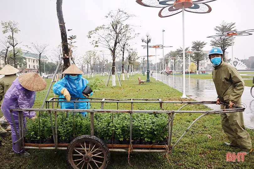 Tô sắc xuân cho phố phường Hà Tĩnh