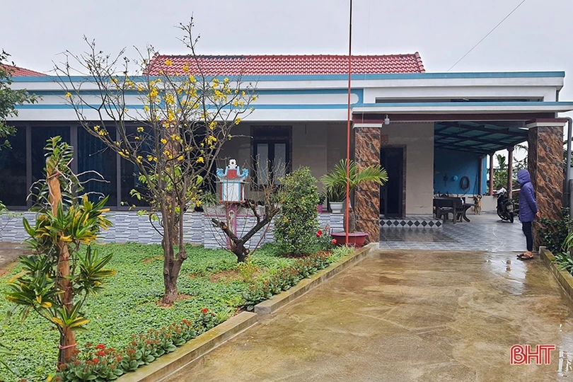 Mai vàng khoe sắc ở xã vùng biển Hà Tĩnh