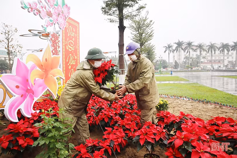 Tô sắc xuân cho phố phường Hà Tĩnh