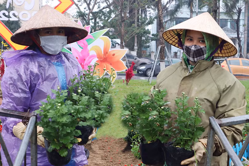 Tô sắc xuân cho phố phường Hà Tĩnh