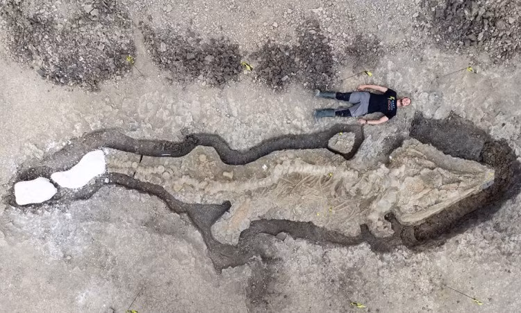 Hóa thạch “rồng biển” dài hơn 10m