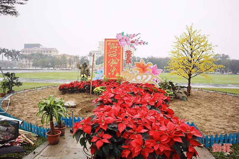 Tô sắc xuân cho phố phường Hà Tĩnh