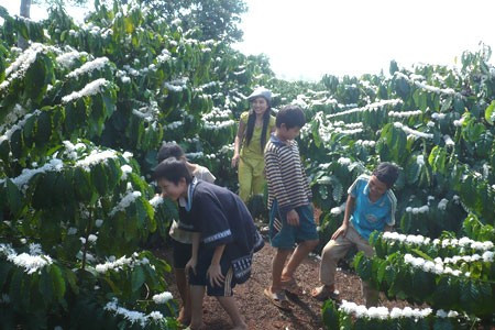 Thích thú nô đùa.