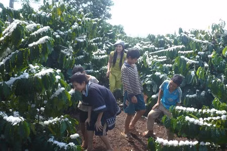 Thích thú nô đùa.