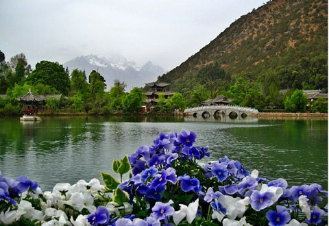 Mùa xuân ở công viên Hắc Long Đàm.