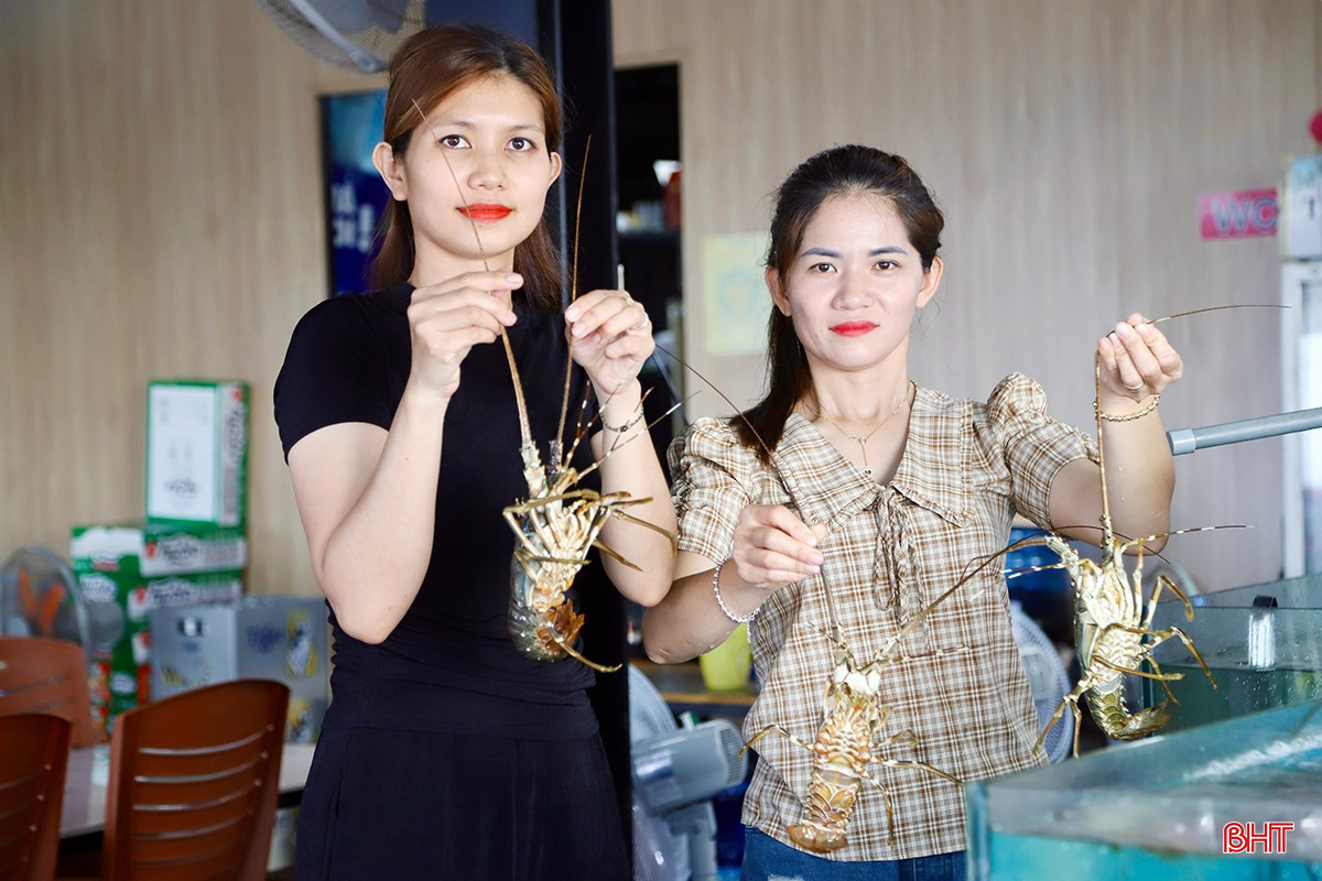 Nhà hàng Phố Biển luôn đảm bảo nguồn hải sản tươi ngon phục vụ khách hàng. bqbht_br_img-5772-copy.jpg