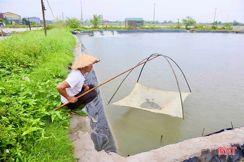 Trên địa bàn tỉnh dự báo có mưa vừa đến mưa to sẽ ảnh hưởng đến nuôi trồng thủy sản. bqbht_br_img-1021-copy.jpg