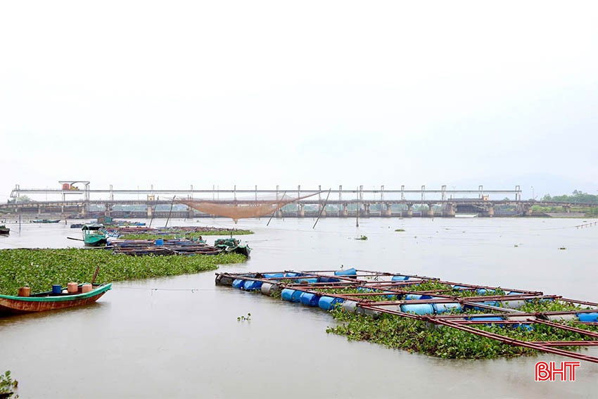 Khu vực sông Nghèn tại xã Thạch Sơn hiện có gần 40 hộ dân nuôi trồng thuỷ sản. bqbht_br_img-1022-copy.jpg