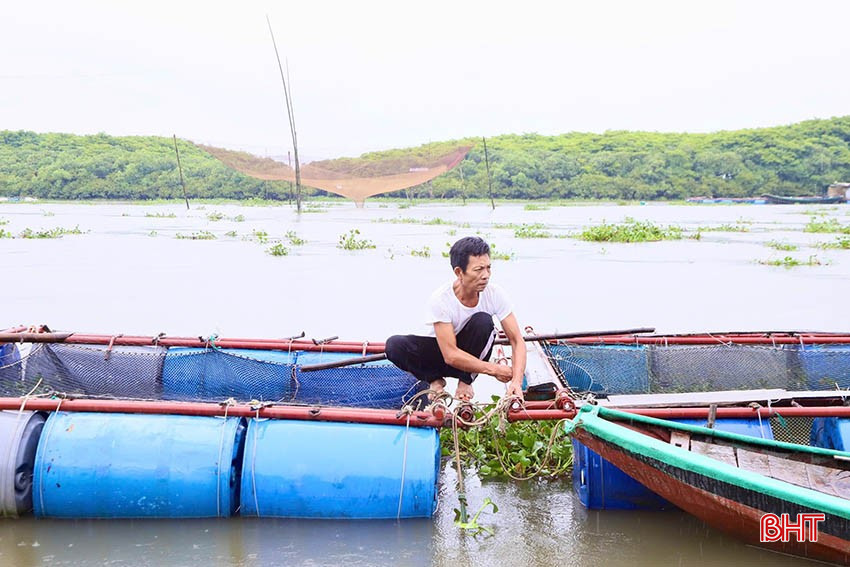 Anh Nguyễn Văn Nga (thôn Sông Hải, xã Thạch Sơn, Thạch Hà) gia cố lồng bè trước dự báo mưa lớn có thể xảy ra trên địa bàn Hà Tĩnh. bqbht_br_img-1023-copy.jpg