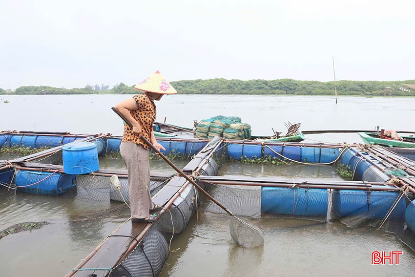 Người nuôi trồng thủy sản chủ động triển khai các giải pháp, hạn chế thiệt hại do mưa lũ. bqbht_br_img-1026-2-copy.jpg