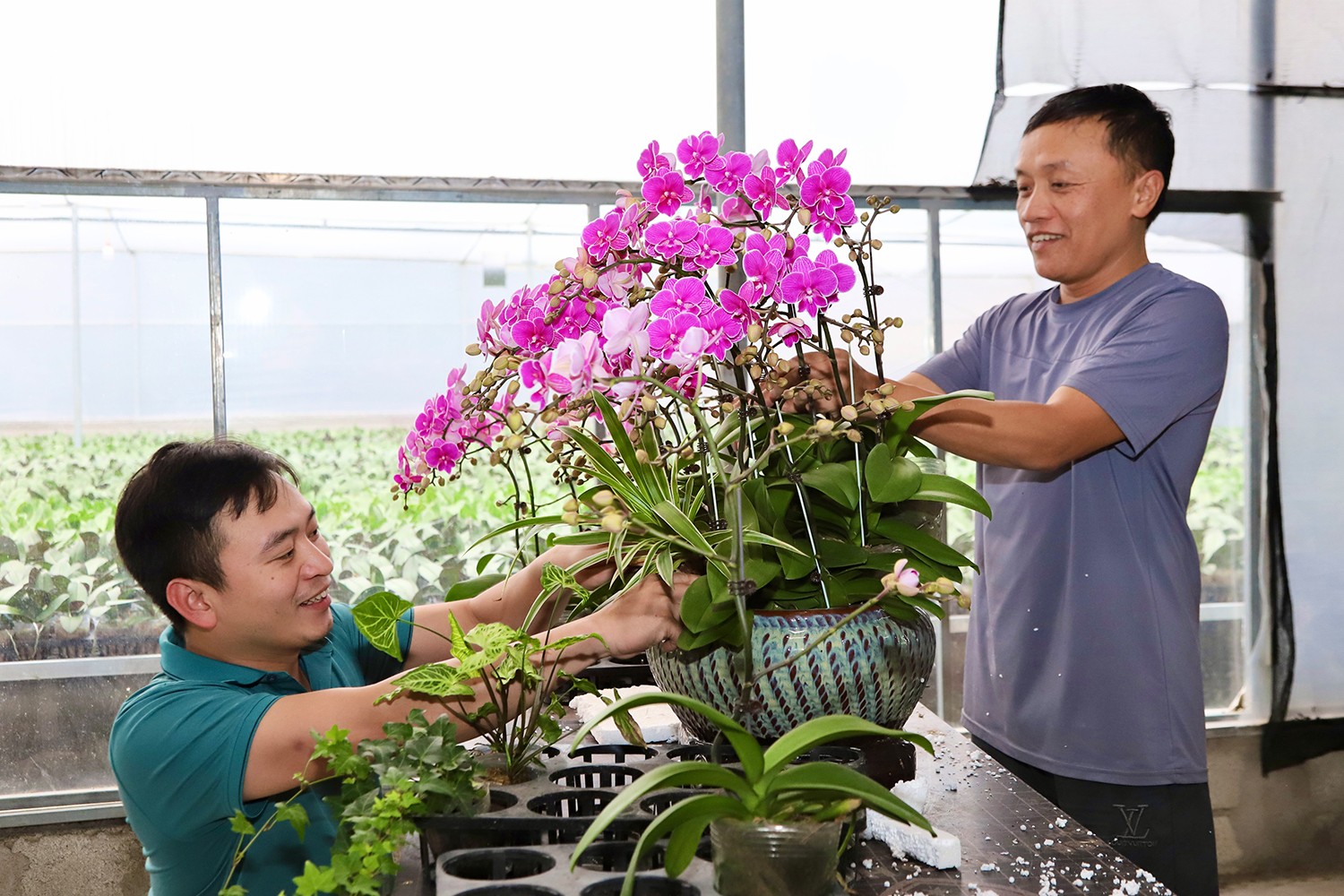 علاوه بر این، این شرکت سفارش و تحویل آنلاین گل را از طریق پلتفرمهای رسانههای اجتماعی نیز میپذیرد و انتخاب و خرید گل را برای مشتریان بدون نیاز به مراجعه مستقیم به باغ آسان میکند. به لطف این سرویس، بسیاری از سفارشات از قبل ثبت شدهاند که به گسترش بازار و رفع نیازهای راحتی دوستداران گل در طول عید تت کمک میکند. 6.jpg